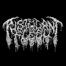 Pustulant Flesh Music Discography