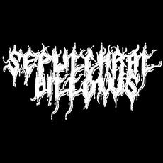 Sepulchral Billows Music Discography