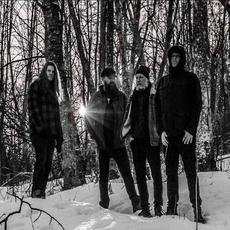 Signeri Music Discography