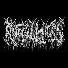 Ritual Mass Music Discography
