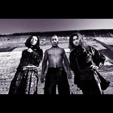 88Kasyo Junrei (八十八ヶ所巡礼) Music Discography