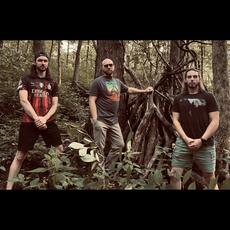 Ultravoidos Music Discography