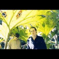 Tipsy Music Discography