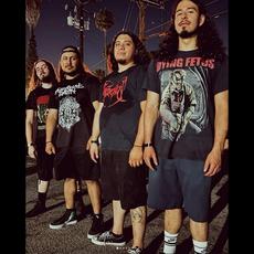 Exitosus Music Discography