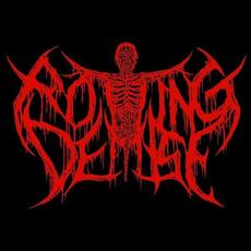 Rotting Demise Music Discography