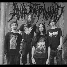 Anal Stabwound Music Discography