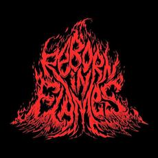 Reborn in Flames Music Discography