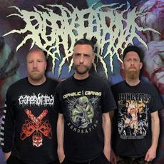 Porkfarm Music Discography