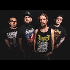 Public Grave Music Discography