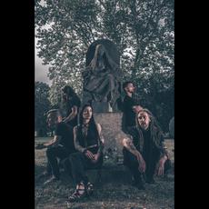 The Answer Lies in the Black Void Music Discography