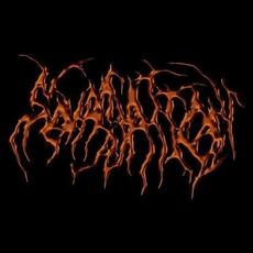 Squassation Music Discography