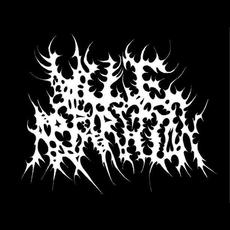 Vile Apparition Music Discography