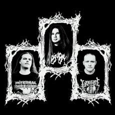 Necrotum Music Discography