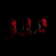 Le Ceneri Music Discography