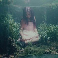 ivri Music Discography