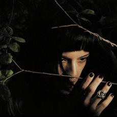 Not for Radio Music Discography