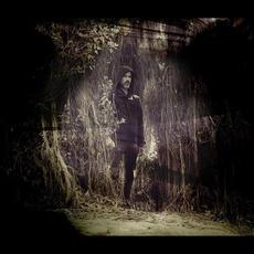 In A Forest Dark Music Discography