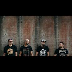 Fat Rhino Music Discography