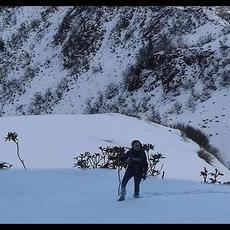 J'ai si froid... Music Discography