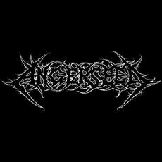 Angerseed Music Discography