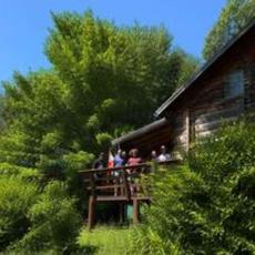 The Ballyhoo House Band Music Discography