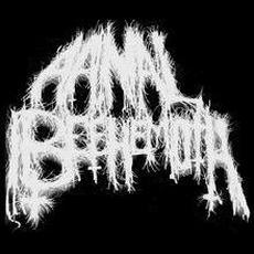 Aanal Beehemoth Music Discography