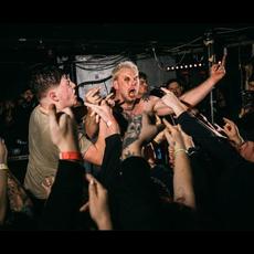 Haywire (2) Music Discography