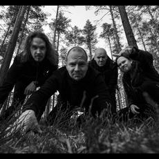 Humming Whale Music Discography