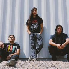 M.I.S. Music Discography