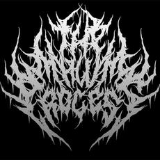 The Malum Process Music Discography