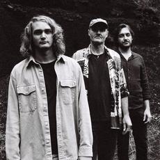 Paracrine Music Discography