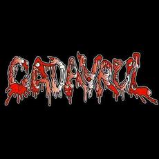 Cadavrul Music Discography