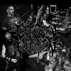 Cerebral Effusion Music Discography