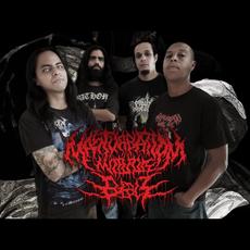 Masturbation with the Bible Music Discography