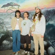 The Creature Cage Music Discography