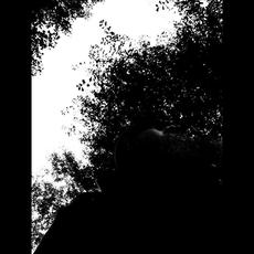 Flittering Music Discography