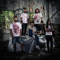 In-Sight Music Discography