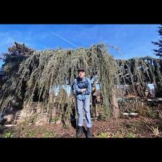 Alex Orange Drink Music Discography