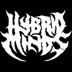 Hybrid Minds (Colombia) Music Discography
