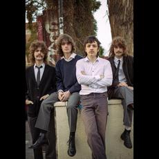 The Gnomes Music Discography