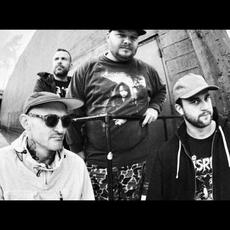 Colossal Rains Music Discography