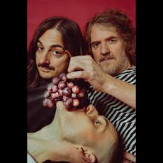 Zahn Music Discography