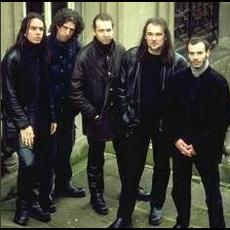 Your Shapeless Beauty Music Discography