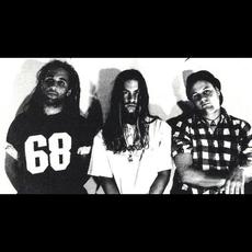 Winter (2) Music Discography