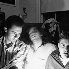 Honolulu Mountain Daffodils Music Discography