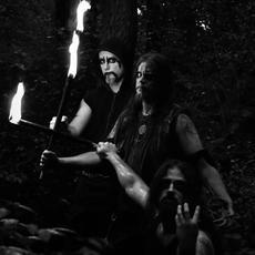 Shards Of A Lost World Music Discography