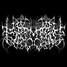 Fire Magic Music Discography