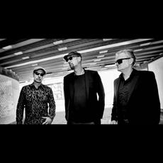 Electric Bush Project Music Discography