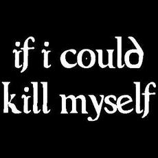 If I Could Kill Myself Music Discography