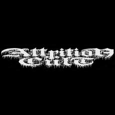 Attrition Cult Music Discography